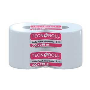 Toalla de papel HS 300 x 2